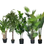 Partition Large Pots